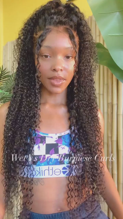 Burmese Beach Curly BUNDLE DEALS
